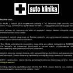 “Auto Klinika” Krzysztof Lurka  Polish firm