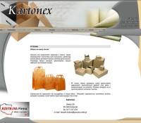 Kartonex Leszek Kobus Industry and Manufacturing – Packing Products, Industry and Manufacturing – Wood and Paper Industry, Services – Packing,  Polish firm