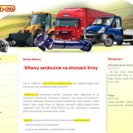 “Tad-Car” Auto-Części Handel i Usługa Zofia Małocha  Polish firm