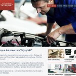 Serwis Motoryzacyjny “Wyrębski” Automotive – Vehicles and Motorcycles,  Polish firm