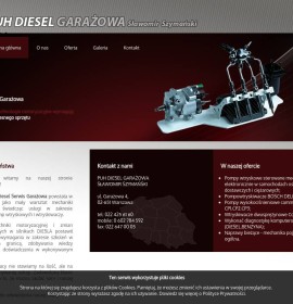 P.U.H. Diesel Garażowa Sławomir Szymański  Polish firm