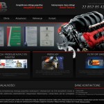 B&B Przemysław Bodych Serwis Samochodowy Bosch Automotive – Vehicles and Motorcycles, Automotive – Car Electronics,  Polish firm