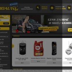 Automotive chemicals. Accessories. Additions to maintain a satisfactory appearance of your car. Polish online store