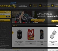 Automotive chemicals. Accessories. Additions to maintain a satisfactory appearance of your car. Polish online store