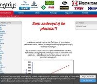 Motrius.pl – Automotive Polish online store
