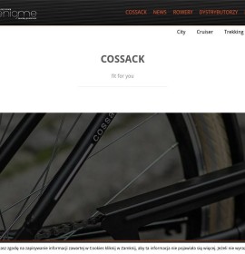 Dutch bikes Polish online store