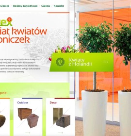 Large selection of flowers Dutch Polish online store