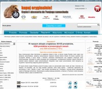 The automotive online shop Polish online store