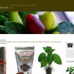 World of Chillies store Garden & DIY Food & Drink British online store